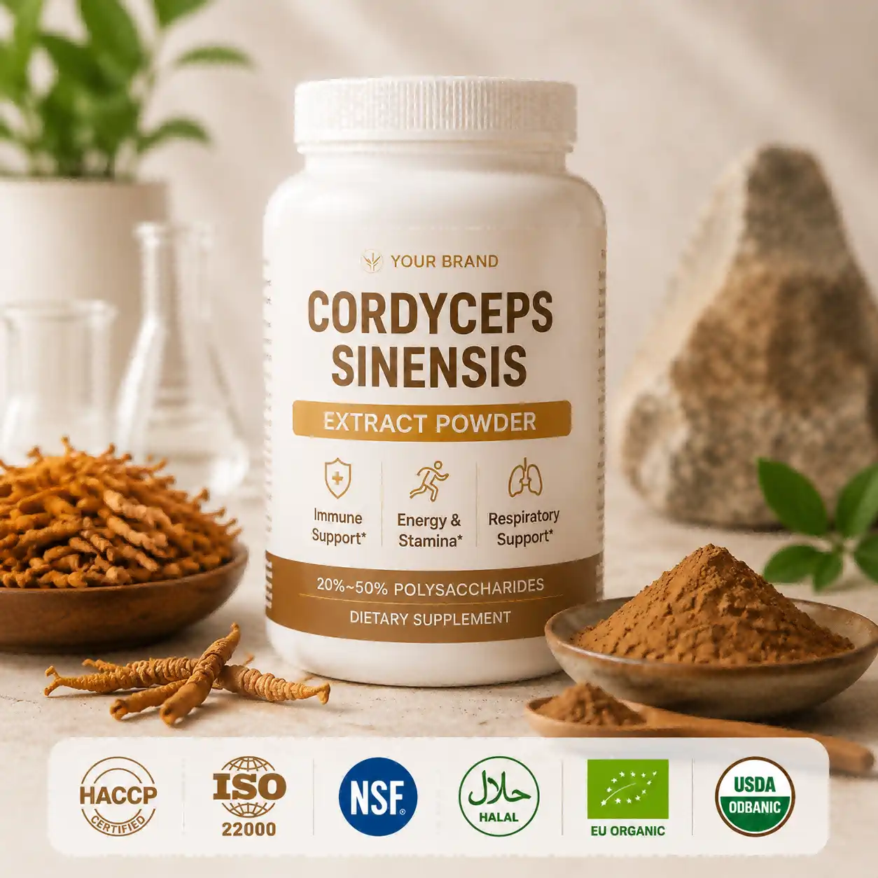 Discover the Health Benefits of Cordyceps Sinensis Extract Powder Discover the Health Benefits of Cordyceps Sinensis Extract Powder